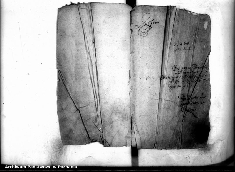 Obraz 4 z jednostki "Inscriptiones [inducta]"