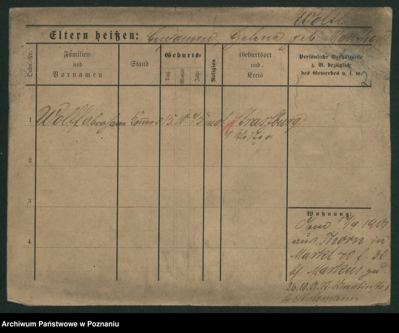 Obraz 8 z jednostki "Wolf (żonaci - samotni mężczyźni)"