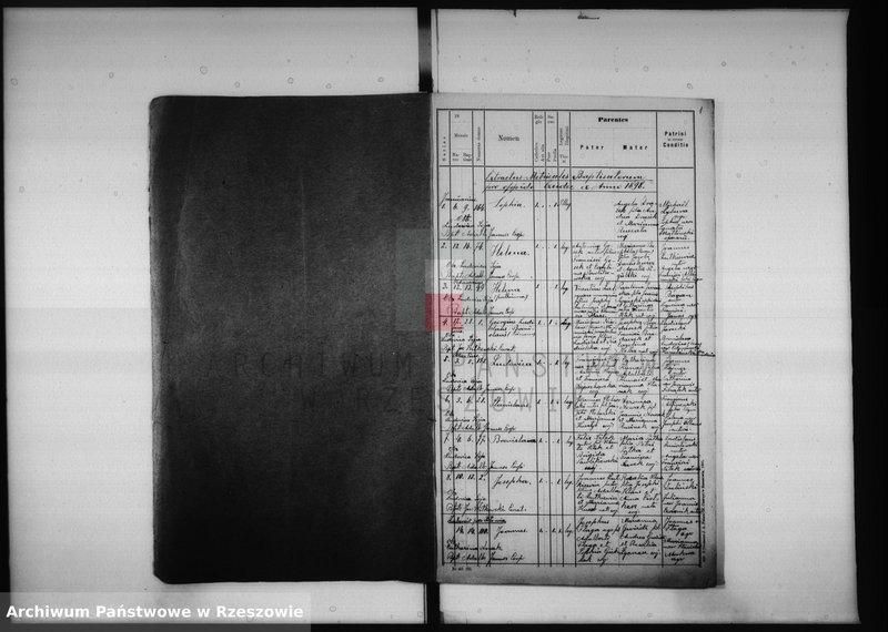 image.from.unit "Księga metrykalna - urodzenia, małżeństwa, zgony - parafia Czudec: Czudec, Przedmieście, Babica, Nowa Wieś, Wyżne, Piekarówka, Zaborów"