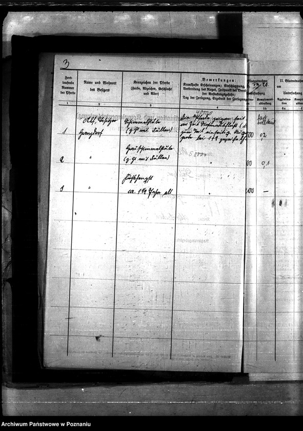 Obraz 7 z jednostki "Nosacizna - Wyrzysk"