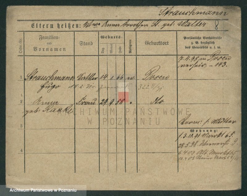 Obraz 18 z jednostki "Strauchman - Striwy (Strü...)"