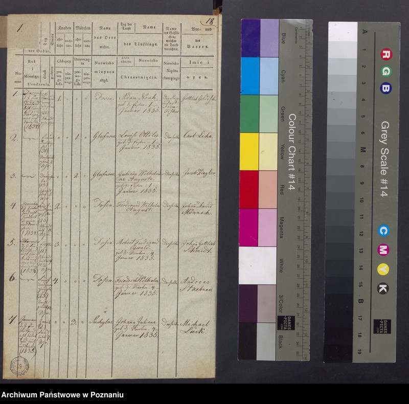 Obraz 3 z jednostki "[Akta urodzeń i chrztów, zgonów i pogrzebów, zapowiedzi i ślubów]"