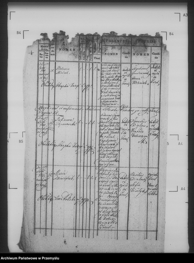 Obraz 8 z jednostki "[Kopie ksiąg metrykalnych parafii Żużel z filią Cebłów (dekanat Bełz)]"
