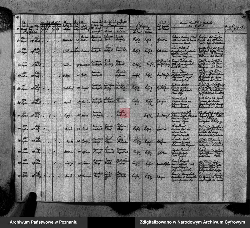 image.from.unit.number "Duplikat des Taufen, Traugen und Verstorbenen"