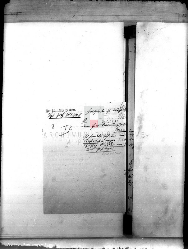 Obraz 12 z jednostki "Die Verwaltung der Stadt Punitz /Poniec/"