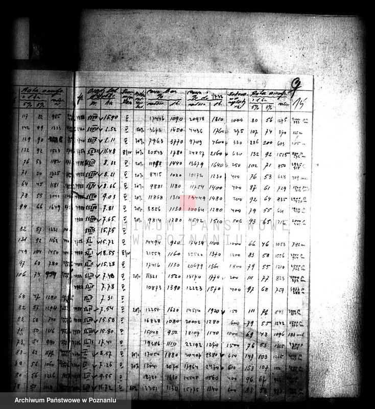 Obraz 20 z jednostki "Operat szacunkowy majątku Bądecz powiatu wrzesińskiego"