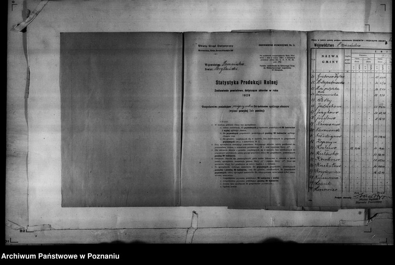 Obraz 7 z jednostki "/Statystyka produkcji rolnej - zestawienie powiatowe - Mogilno/"