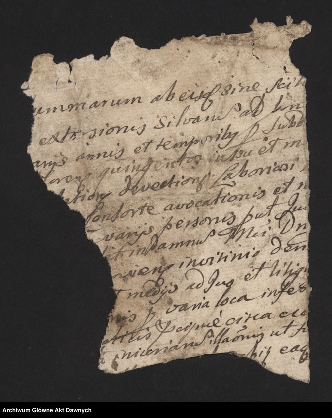 image.from.unit.number "Nurskie relacje oblaty (seria I)"