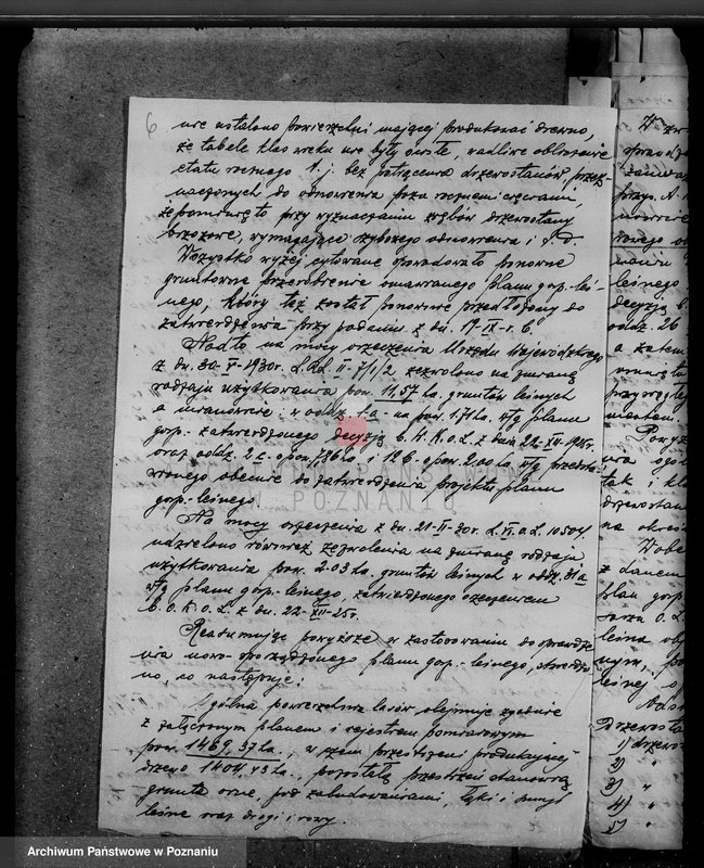 Obraz 11 z jednostki "Lasy majątku Brudzew w powiecie kaliskim"