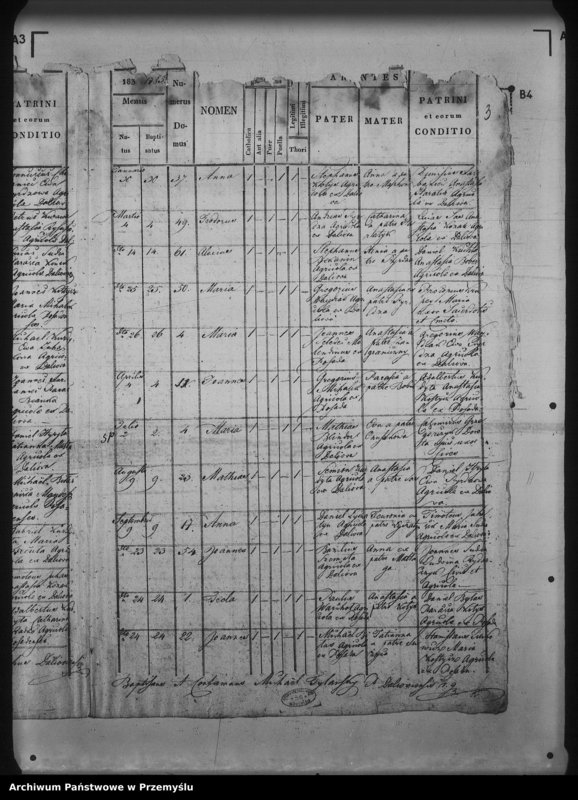 Obraz 7 z jednostki "[Kopie ksiąg metrykalnych parafii Daliowa z filią Szklary (dekanat Rymanów)]"