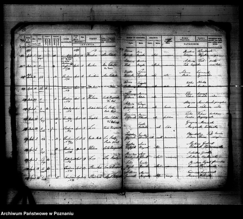 Obraz 12 z jednostki "Księga urodzeń"