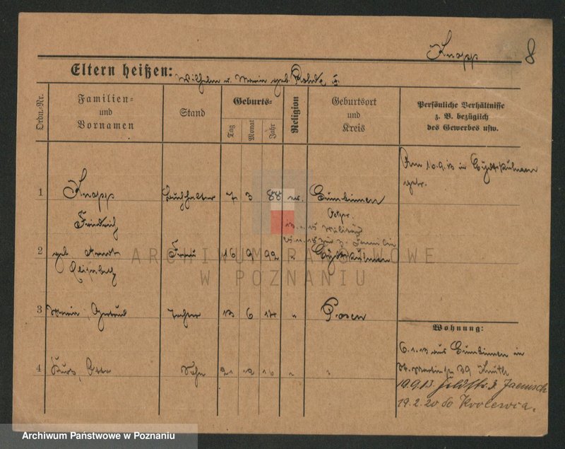 Obraz 8 z jednostki "Knop - Knytel"