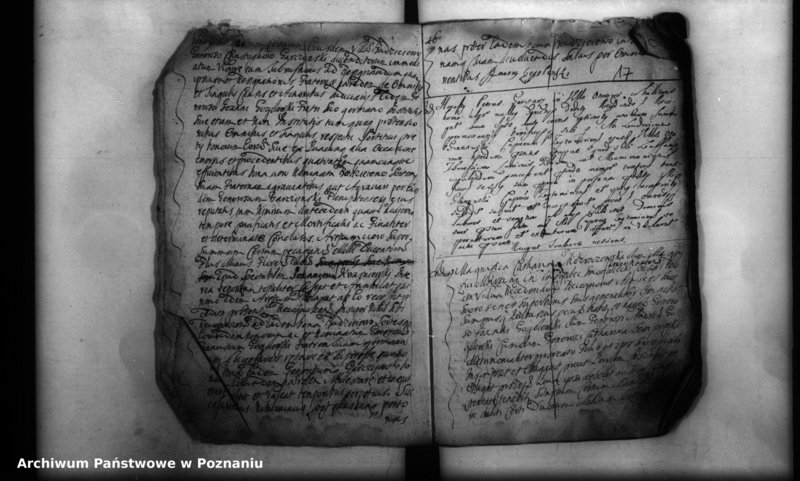 Obraz 19 z jednostki "Inscriptiones, resignationes [protocollon]"