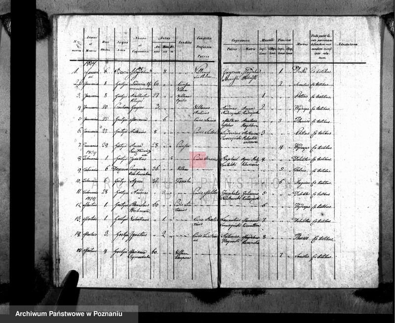 Obraz 19 z jednostki "Liber baptisatorum, copulatorum, mortuorum"