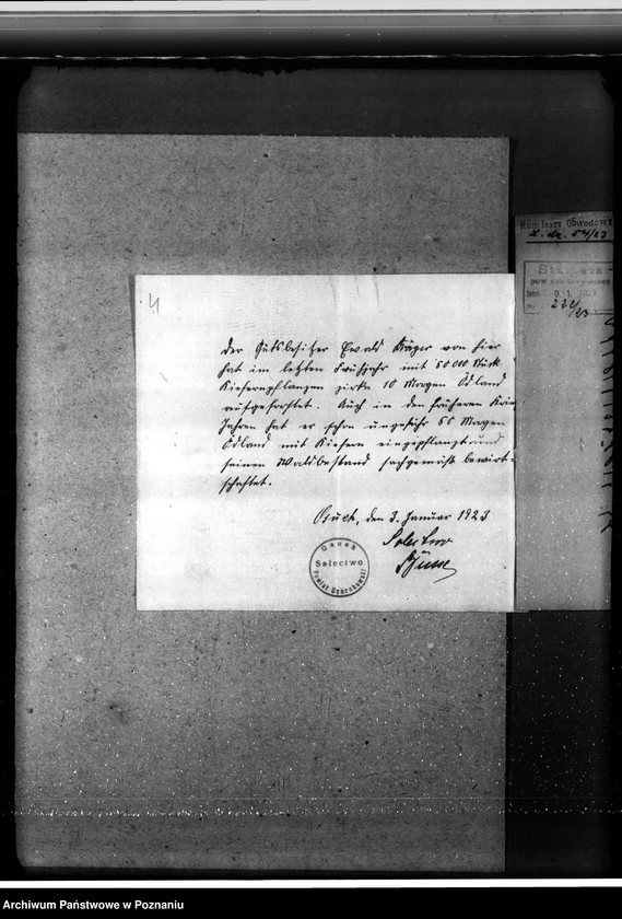 Obraz 8 z jednostki "/Nadzór nad gospodarką w lasach gminy Osuch w powiecie czarnkowskim własność Ewald Draeger"