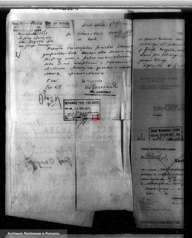 Obraz 7 z jednostki "Zatwierdzenie projektu planu gospodarstwa leśnego dla lasów majątku Lipiny powiatu kolskiego"