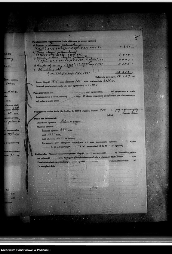 Obraz 9 z jednostki "Majątek Bieganowo powiat wrzesiński własność E. Grabski nr woj. kotła 5588"