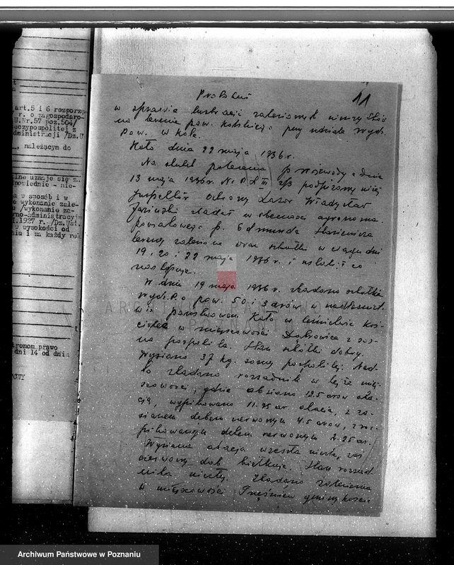 Obraz 16 z jednostki "Zalesienie nieużytków w powiecie kolskim"