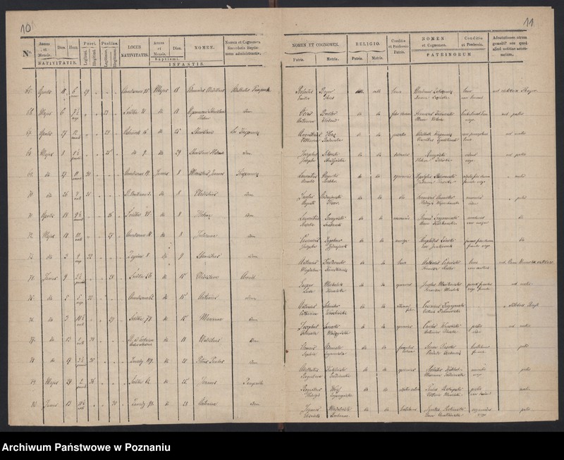 Obraz 8 z jednostki "Indeks urodzeń"