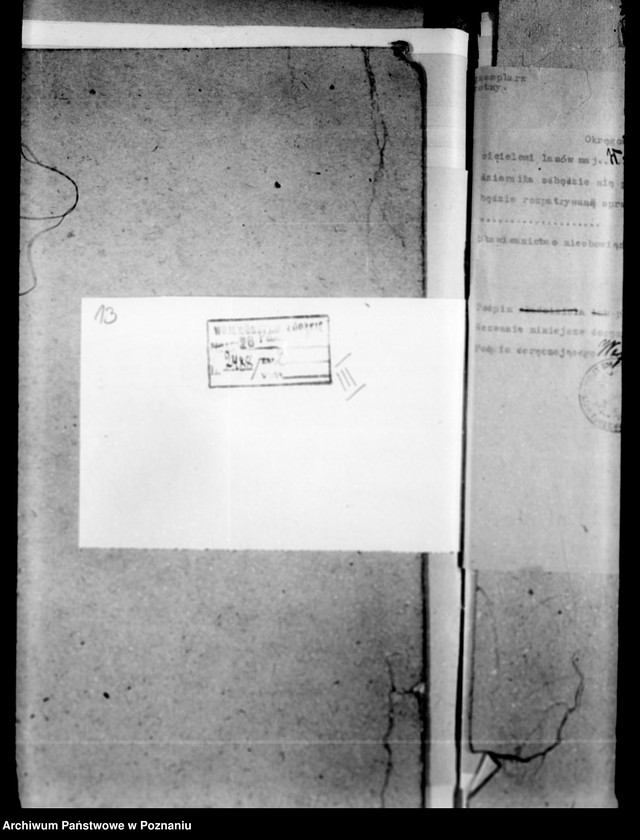 Obraz 18 z jednostki "Lustracja lasów majątku Wilczków powiat turecki"