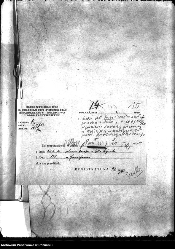 Obraz 19 z jednostki "Zaraza płucna - Krotoszyn"