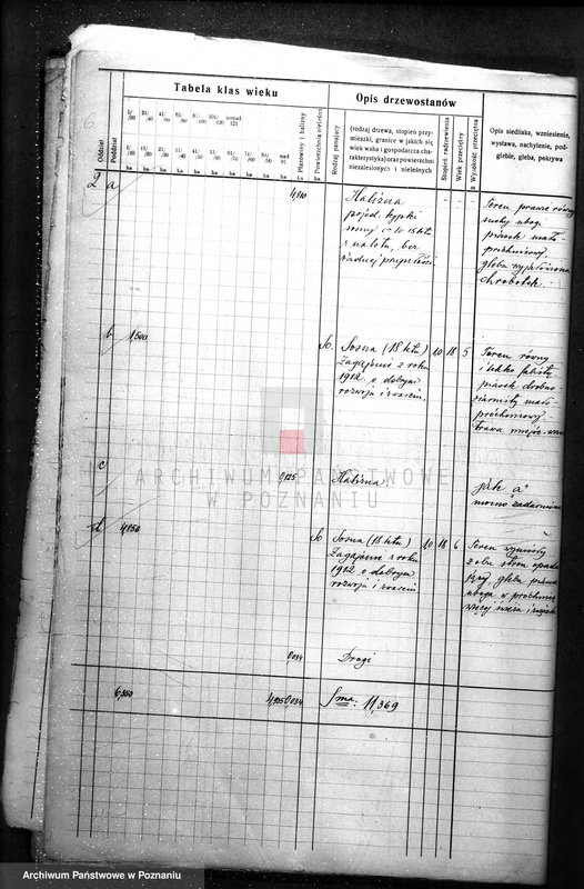 Obraz 10 z jednostki "Plan urządzania gospodarstwa leśnego dla gminy miasta Czarnkowa"