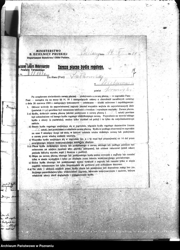 Obraz 11 z jednostki "Sprawy szczegółowo-Zaraza płucna - Toruń"