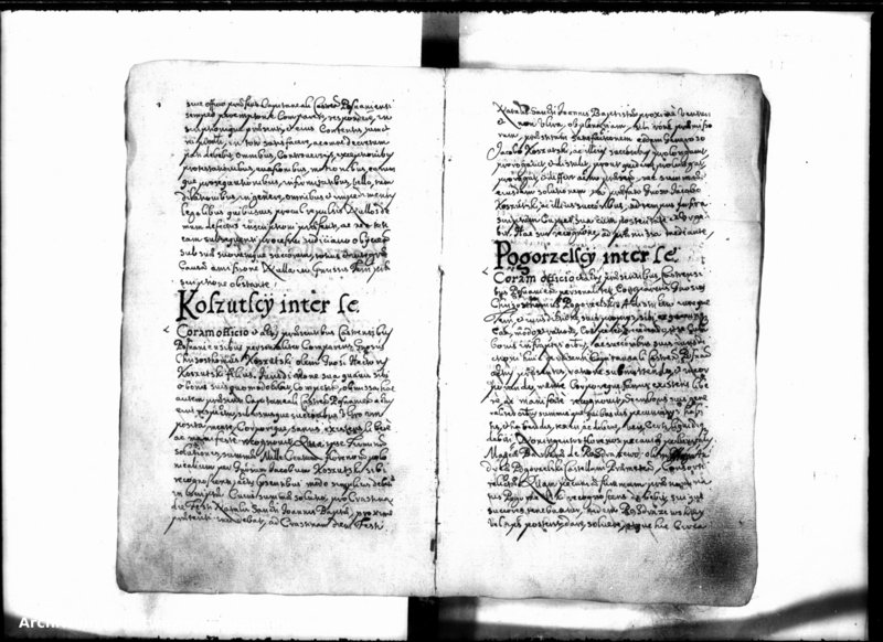 Obraz 12 z jednostki "Inscriptiones [inducta]"