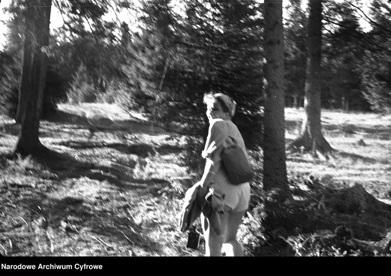 Obraz 18 z jednostki "Podróż pociągiem na Podhale z Krakowa przez miejscowość Tunel"