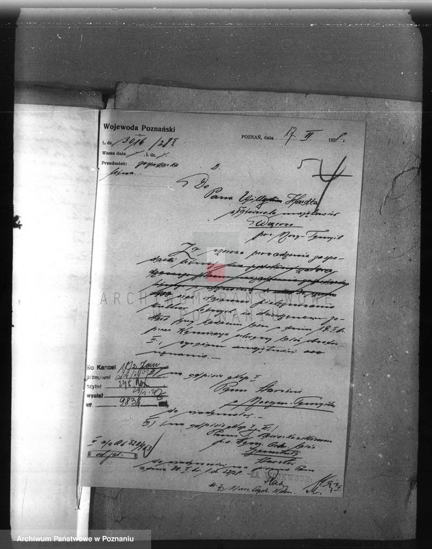 Obraz 10 z jednostki "Majętność leśna Wąsowo w powiecie nowotomyskim"