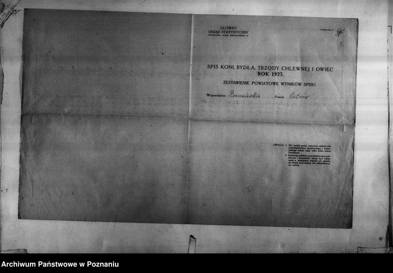 Obraz 8 z jednostki "Spis koni, bydła, trzody chlewnej i owiec - zestawienie z terenu powiatu ostrowskiego"