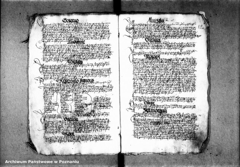 Obraz 17 z jednostki "Inscriptiones, relationes, decreta [inducta]"