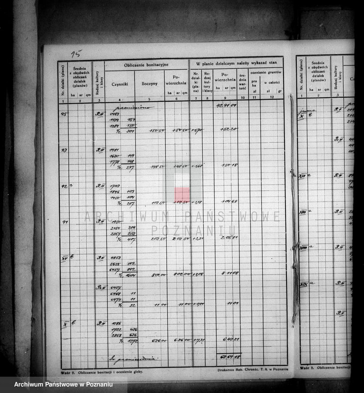 Obraz 19 z jednostki "Obliczenie bonitacji do planu dzielczego majątku Trzeciewnica wyrzyskiego"