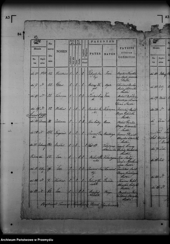 image.from.unit.number "[Kopie ksiąg metrykalnych parafii Zapałów (dekanat Lubaczów)]"