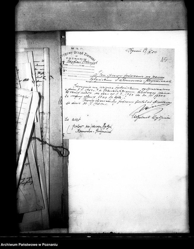 Obraz 20 z jednostki "Polowanie na jeziorze Bytyńskim Komorowo-Gorzewice"