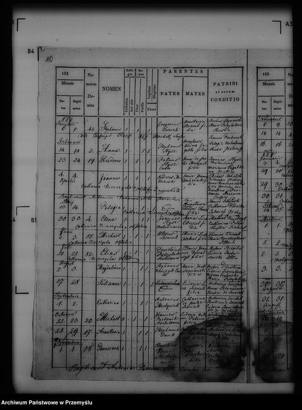 image.from.unit.number "[Kopie ksiąg metrykalnych parafii Pielnia z filiami Dudyńce, Pobiedno, Jędruszkowice, Markowice, Podgaj (dekanat Buków)]"