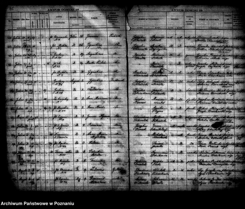 Obraz 19 z jednostki "Księga urodzin"