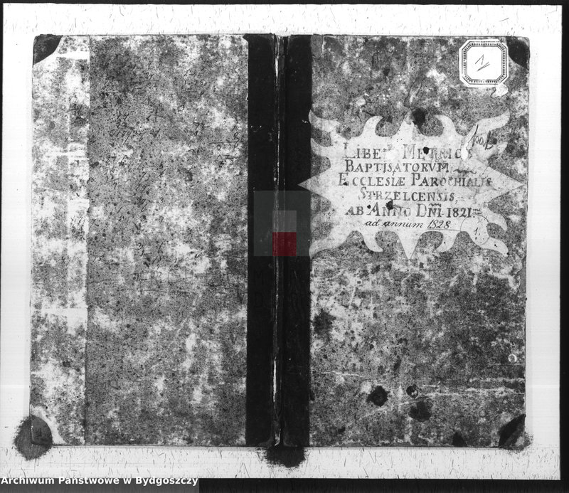 image.from.unit.number "Duplicate der Kirchen Bücher drer Katholischen Kirche zu Strzelno"