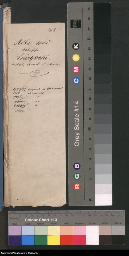 Obraz 4 z jednostki "A. betr. die Familie von Śmiegocki /Michael, Stanislaus und Anton/"