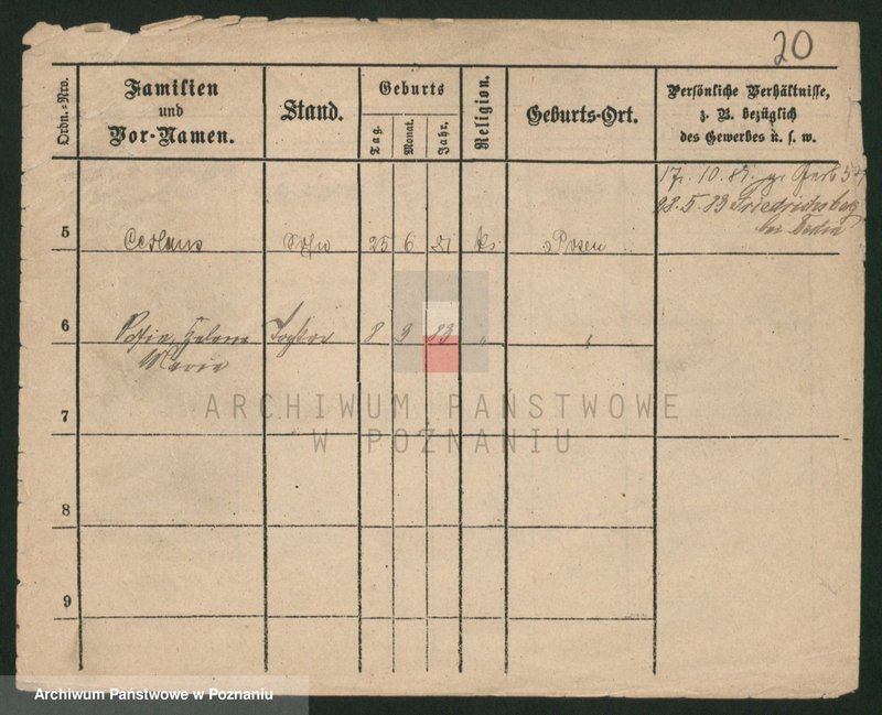 Obraz 20 z jednostki "Palecek - Paluszewski"