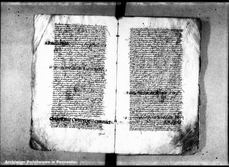 Obraz 6 z jednostki "Inscriptiones [inducta]"