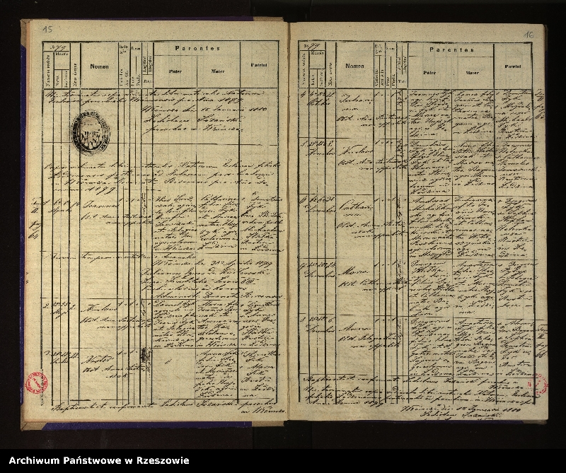 Obraz 12 z jednostki "Księga urodzeń, małżeństw i zgonów dla miejscowości Hłomcza, Łodzina, Mrzygłód"