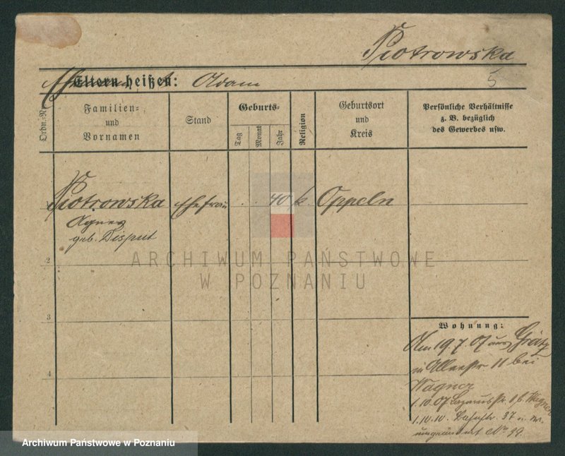 Obraz 5 z jednostki "Piotrowski (samotni mężczyźni i kobiety)"