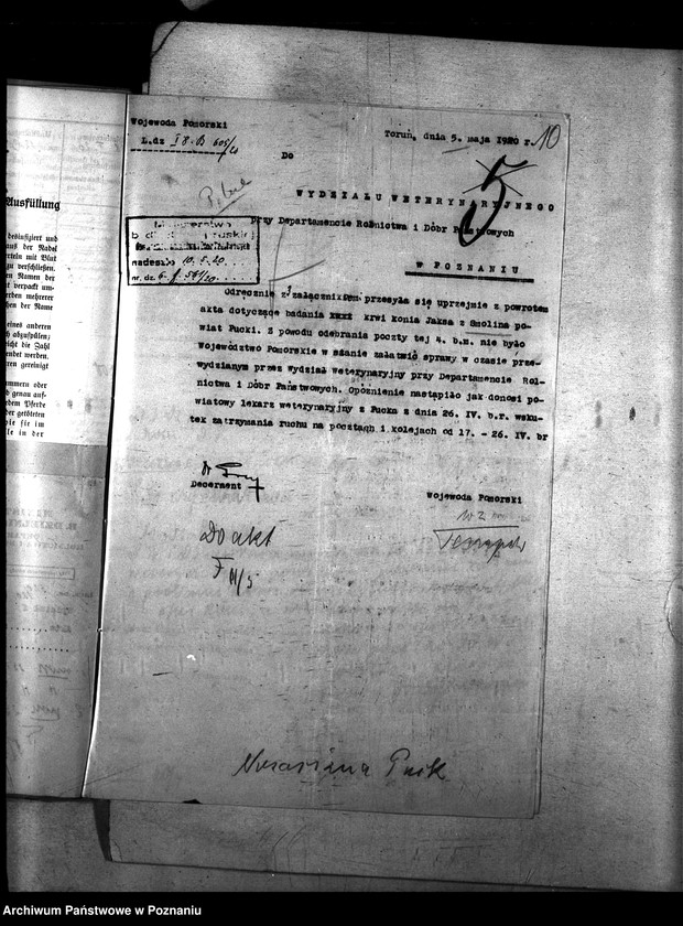 Obraz 14 z jednostki "Nosacizna - Puck"