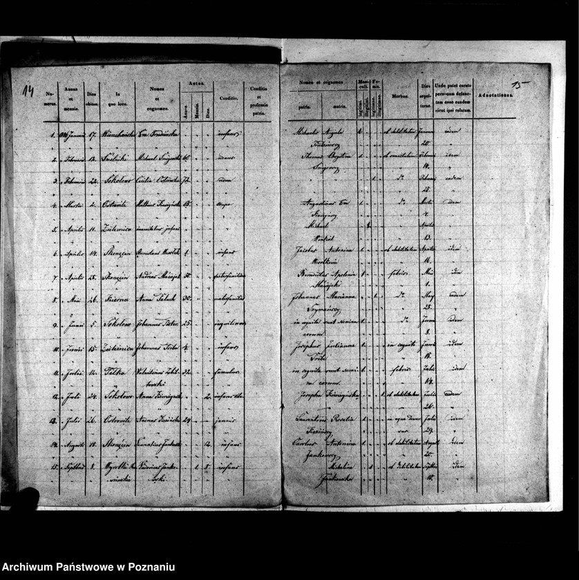 image.from.unit.number "Duplicatus baptisatorum, copulatorum, mortuorum"