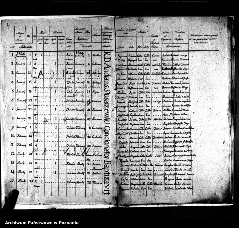 Obraz 4 z jednostki "Duplikat natorum, copulatorum, mortuorum"