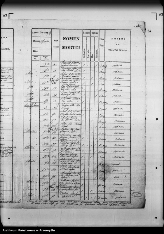 image.from.unit.number "[Kopie ksiąg metrykalnych parafii Jaworki z filiami Biała Woda, Czarna Woda (dekanat Muszyna)]"
