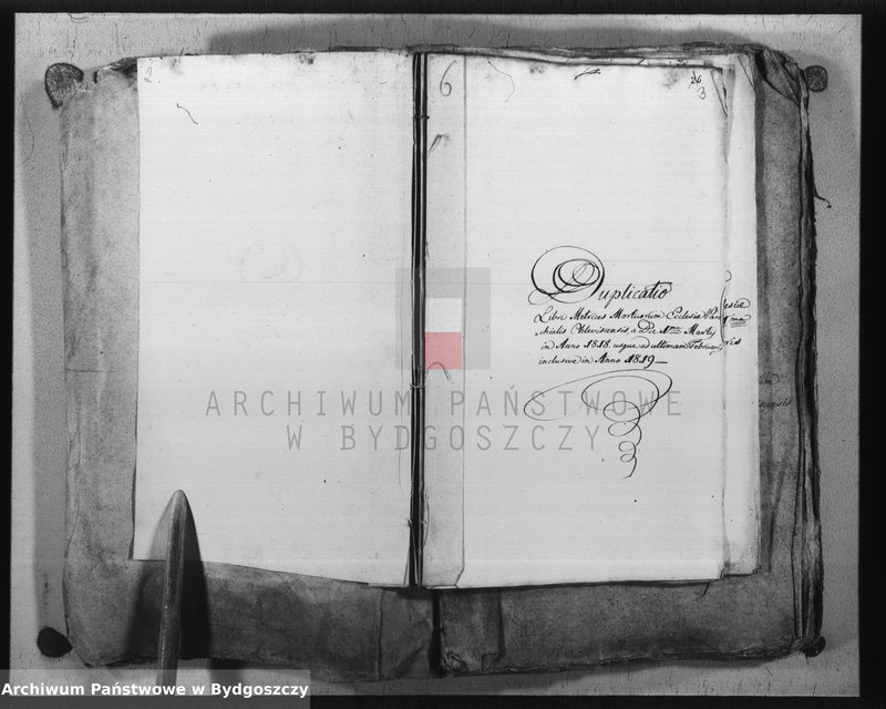 Obraz z jednostki "Duplicate der Kirchenbücher von Chlewisk"