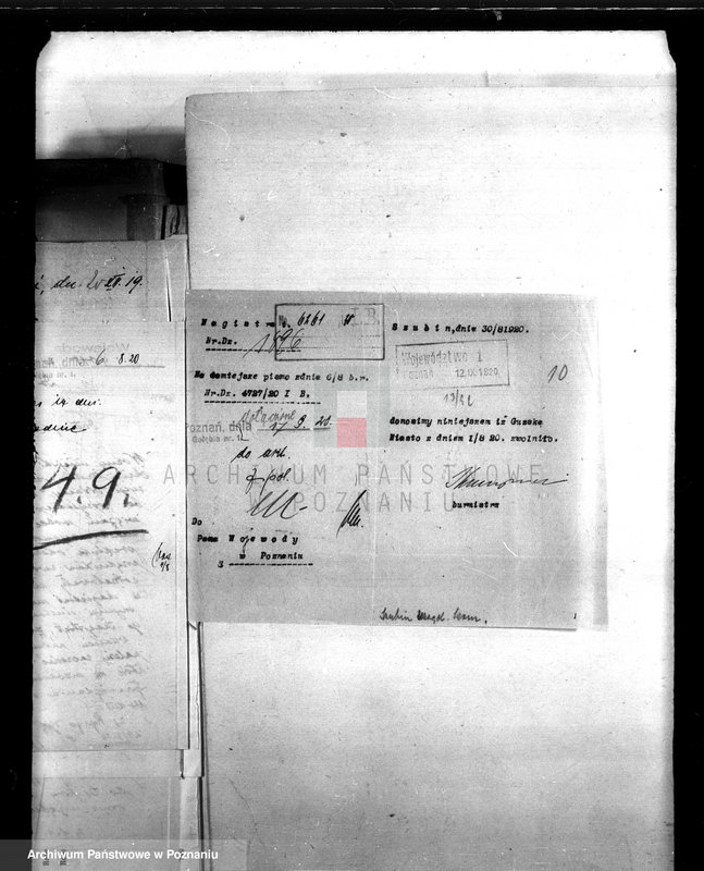 Obraz 14 z jednostki "Urzędnicy Komunalni miasta Szubina"