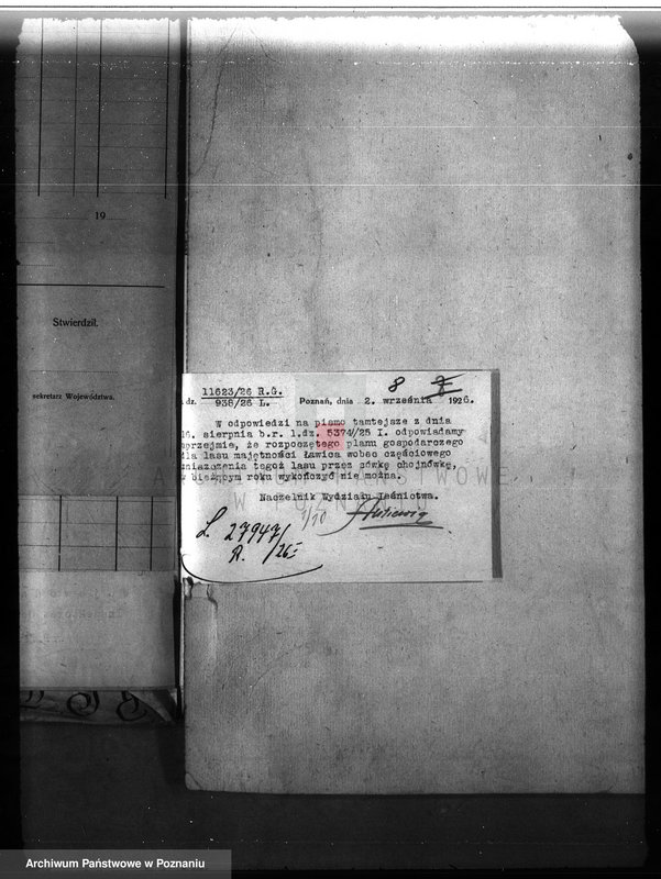 Obraz 12 z jednostki "Majętność leśna Ławica w powiecie międzychodzkim /nadzór nad gospodarką leśną/"